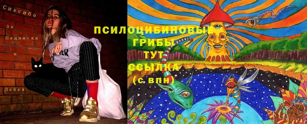 прущая мука Няндома
