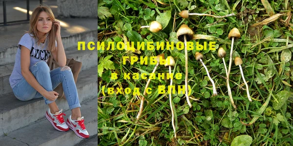 прущая мука Остров