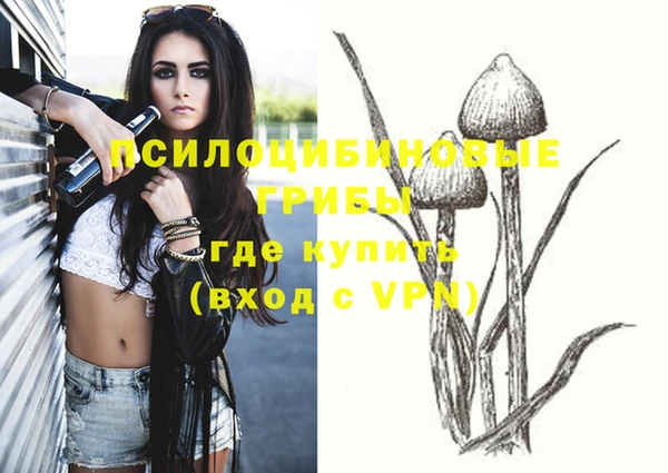 спайс Нязепетровск