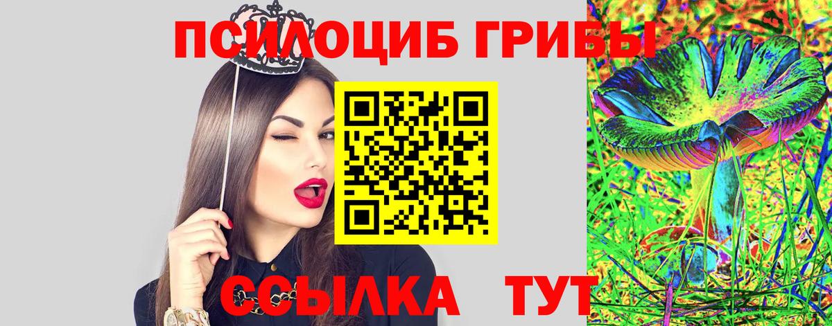 Галлюциногенные грибы Cubensis Кисловодск